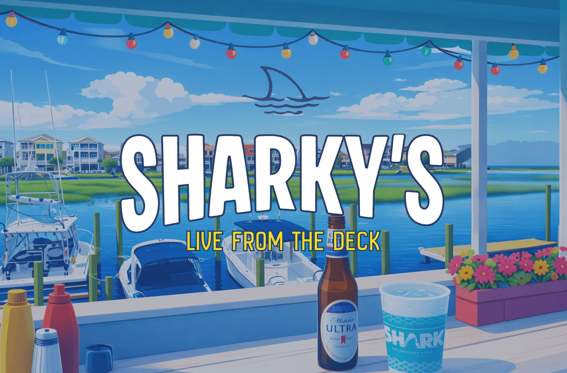 Sharky's back deck — click to watch live